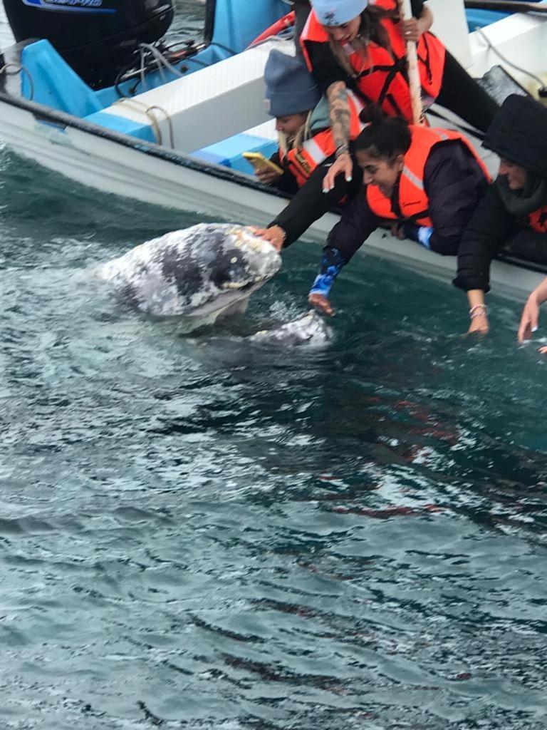 Hotel- Whale Tours And Sport Fishing Vista Mag-Bay Puerto San Carlos Екстериор снимка