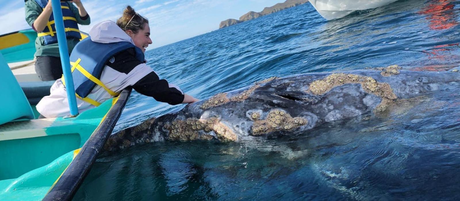 Hotel- Whale Tours And Sport Fishing Vista Mag-Bay Puerto San Carlos Стая снимка